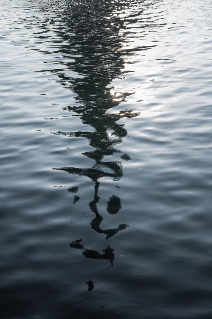 La seine