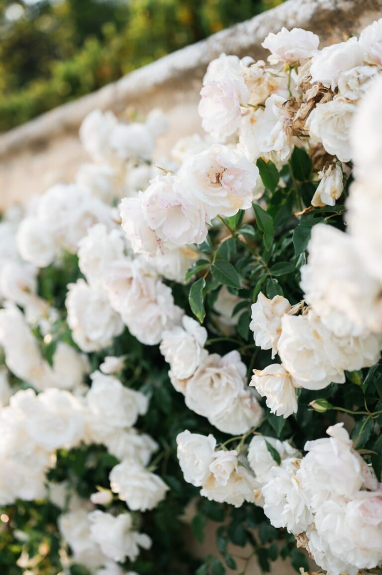 Photographe de Mariage en Provence Loris Bianchi-2