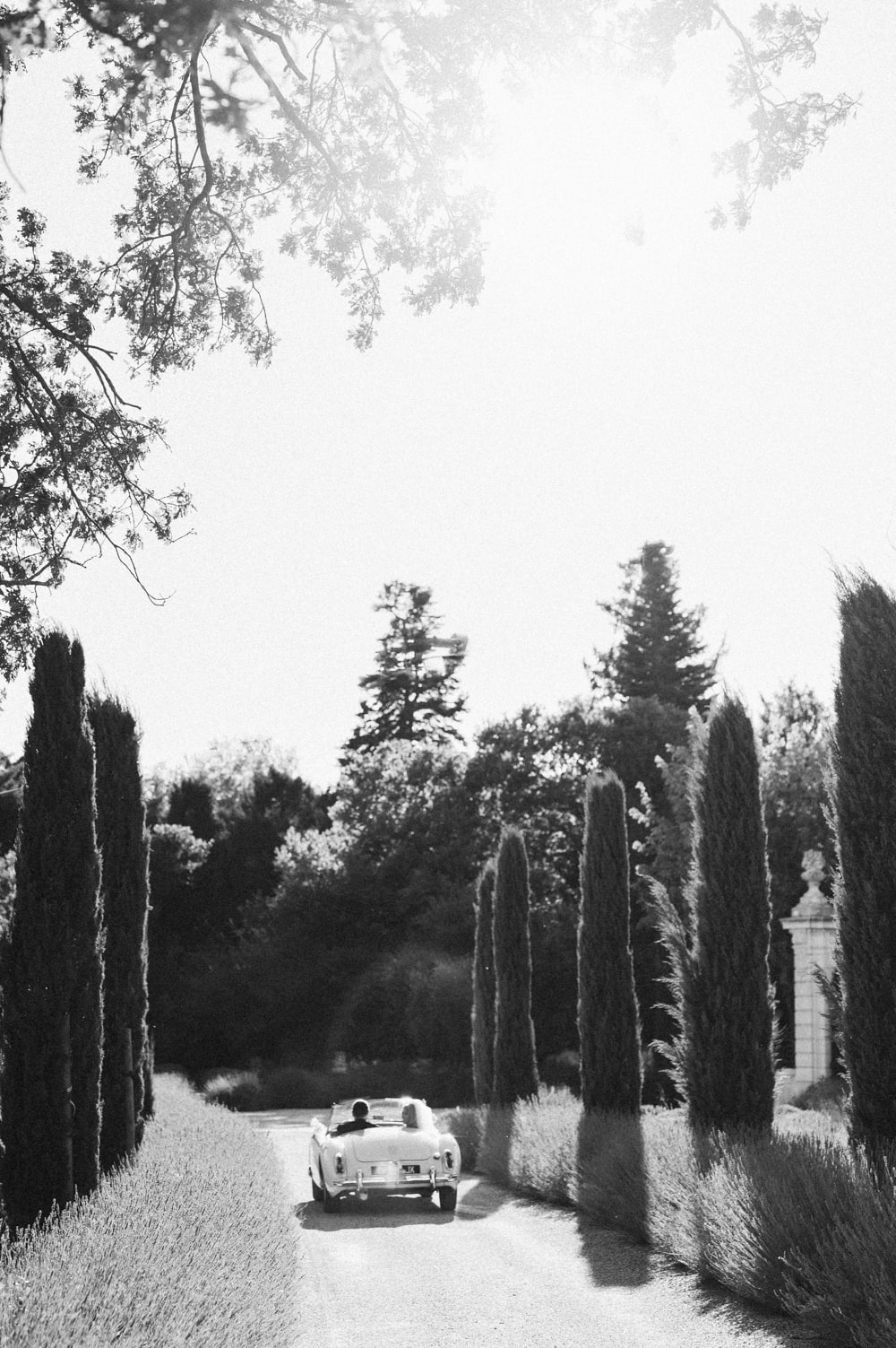 Arrivée des mariés au château des 3 Fontaines